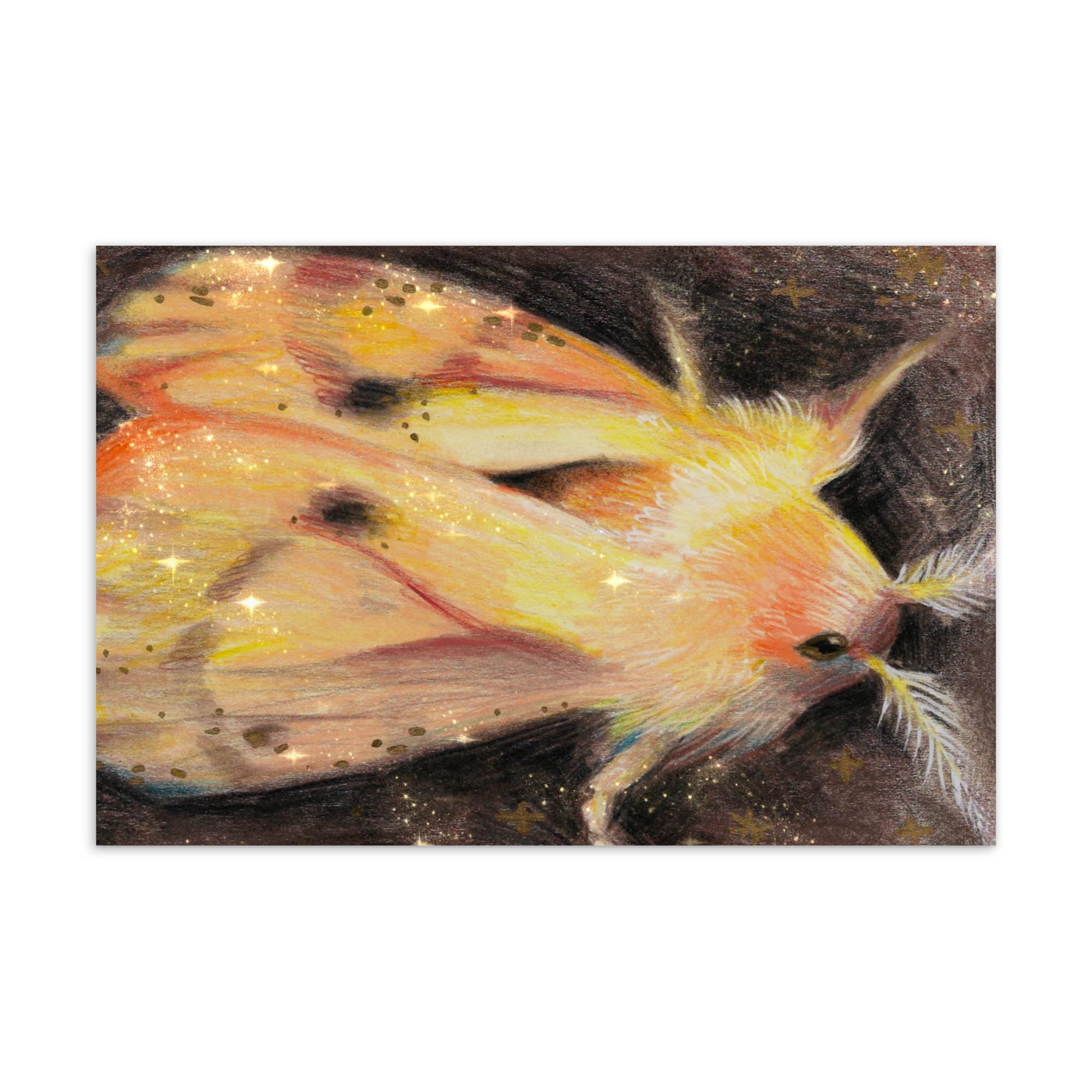 Moth Postcard | Nature Art Postcard - Image 3