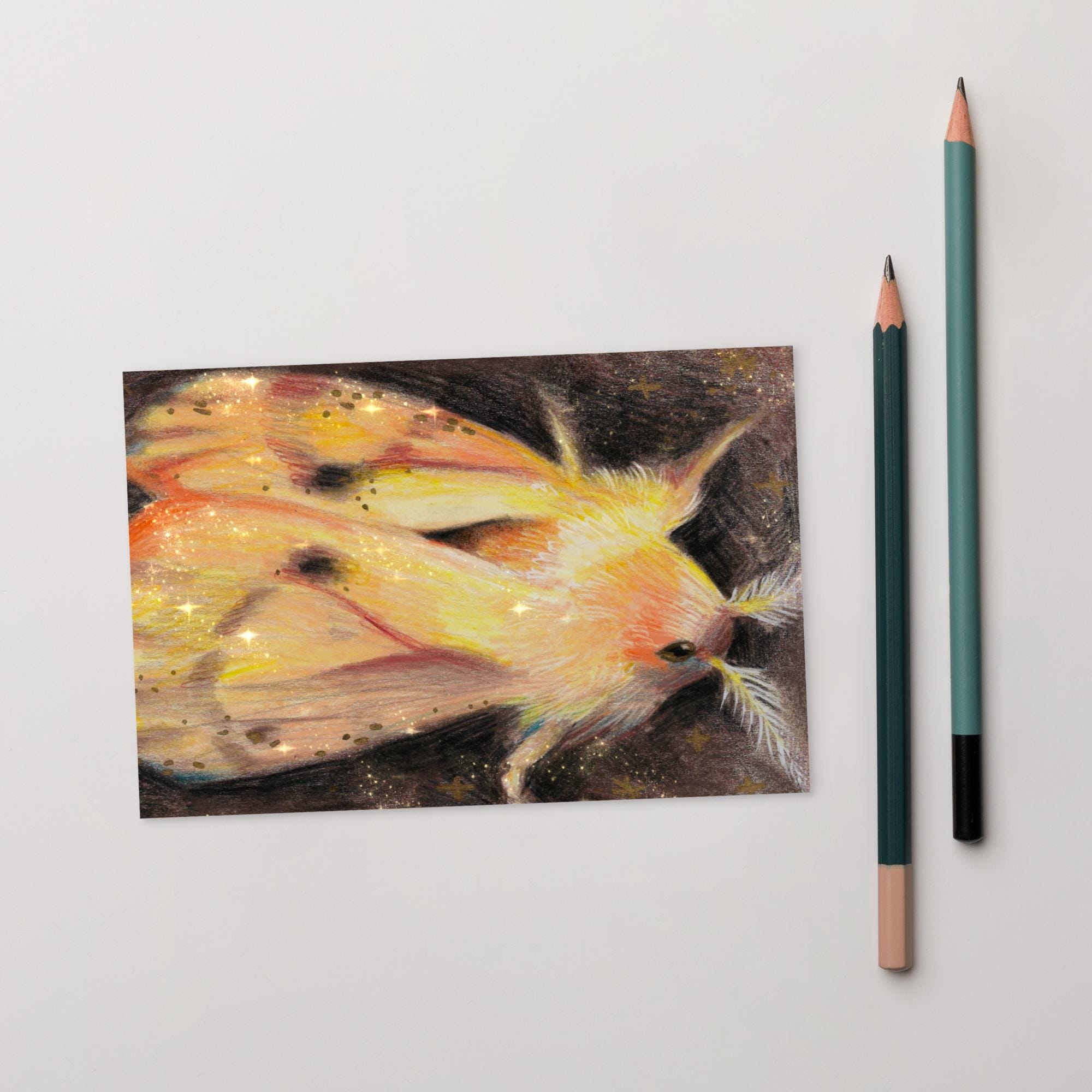 Moth Postcard | Nature Art Postcard - Image 2