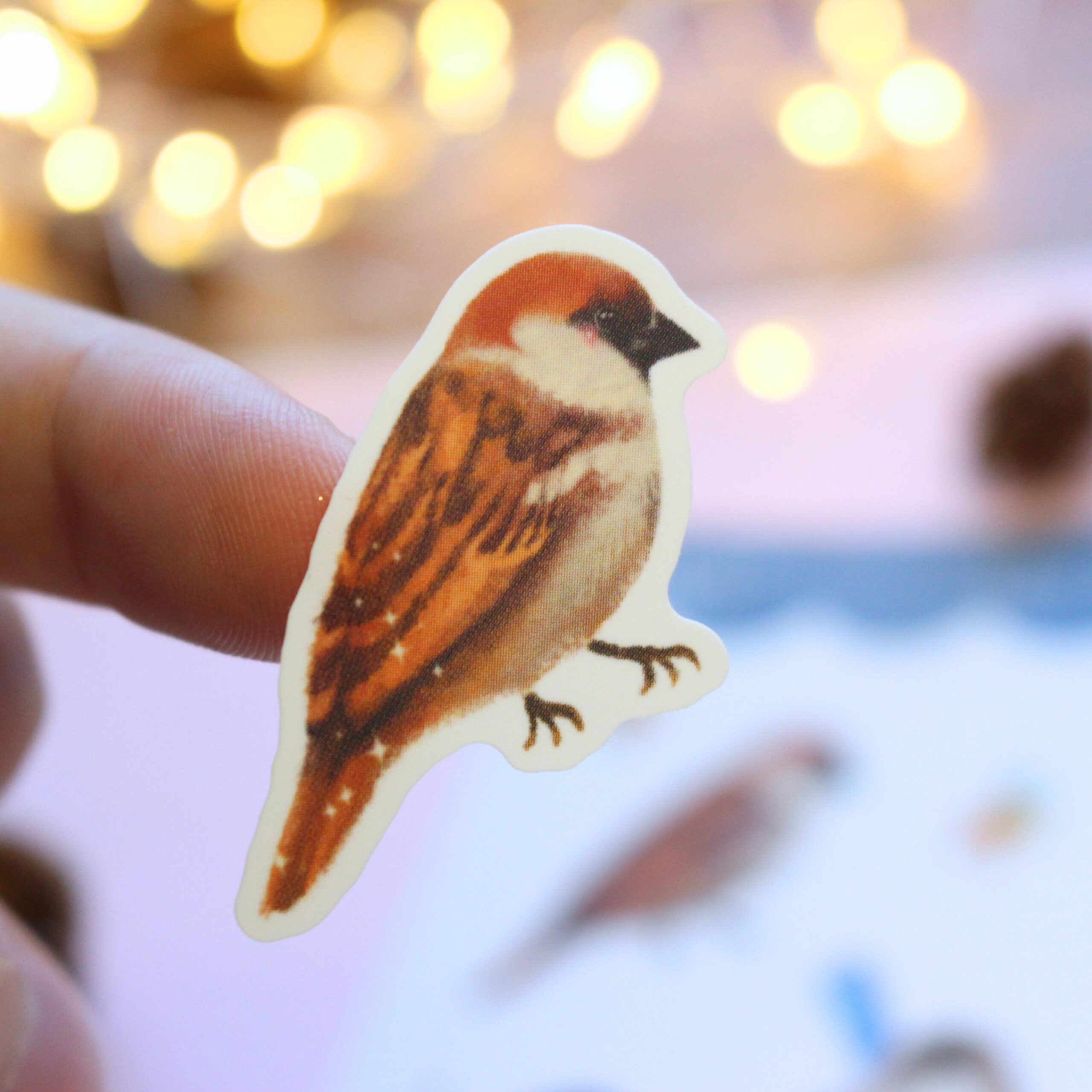 Bird Sticker Sheet, A6 Matte Paper Stickers, Hand Drawn Bird Illustration - Image 2