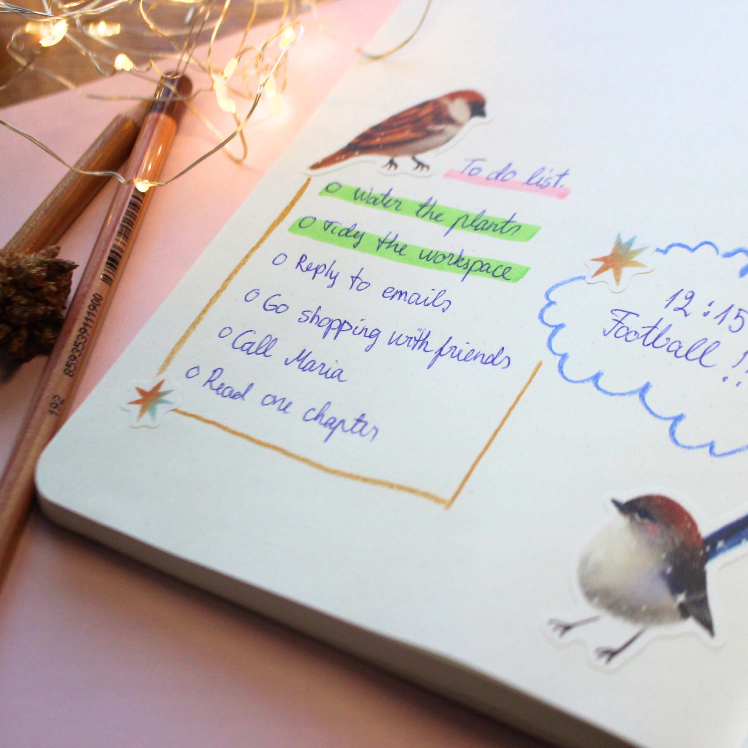 Bird Sticker Sheet, A6 Matte Paper Stickers, Hand Drawn Bird Illustration - Image 5