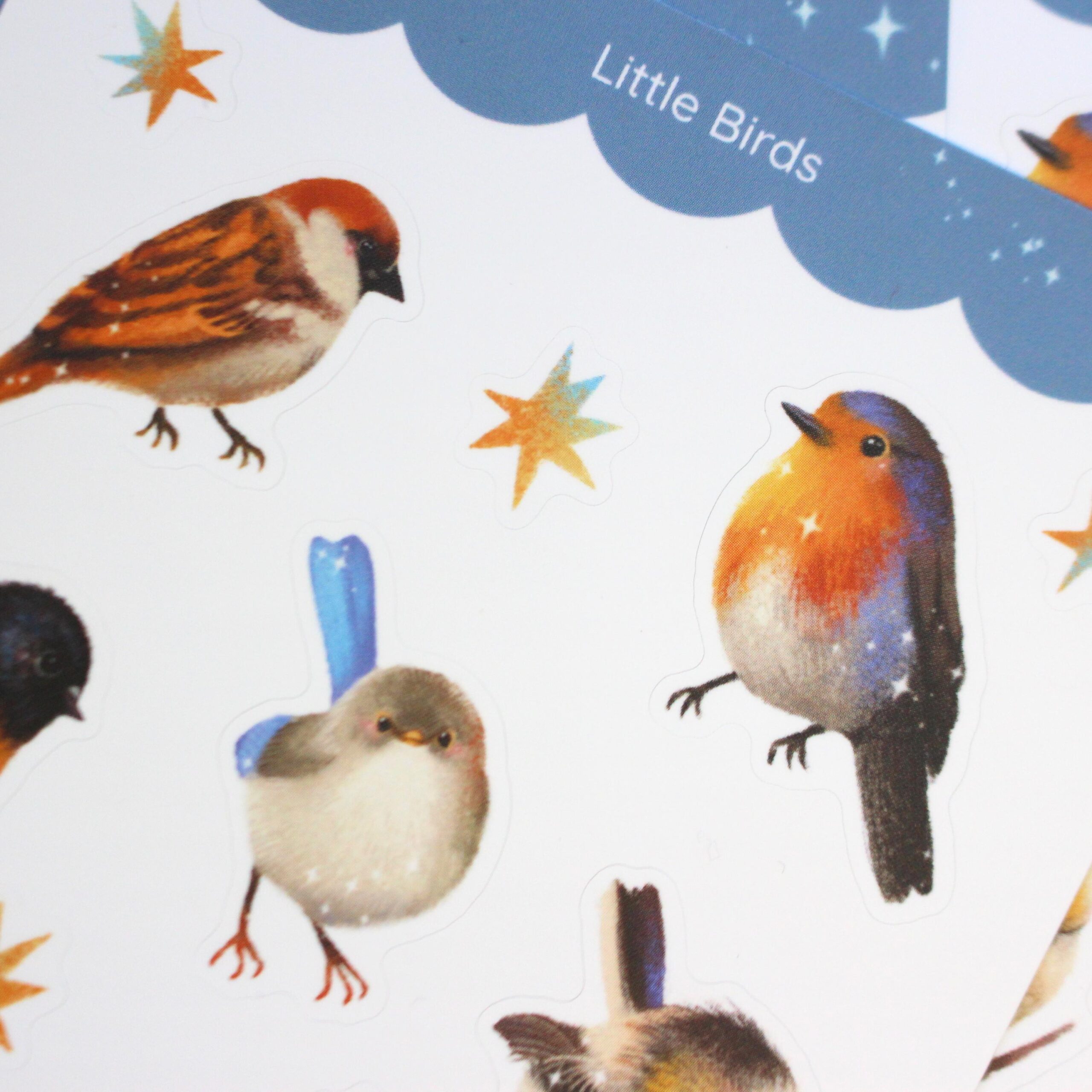 Bird Sticker Sheet, A6 Matte Paper Stickers, Hand Drawn Bird Illustration - Image 6